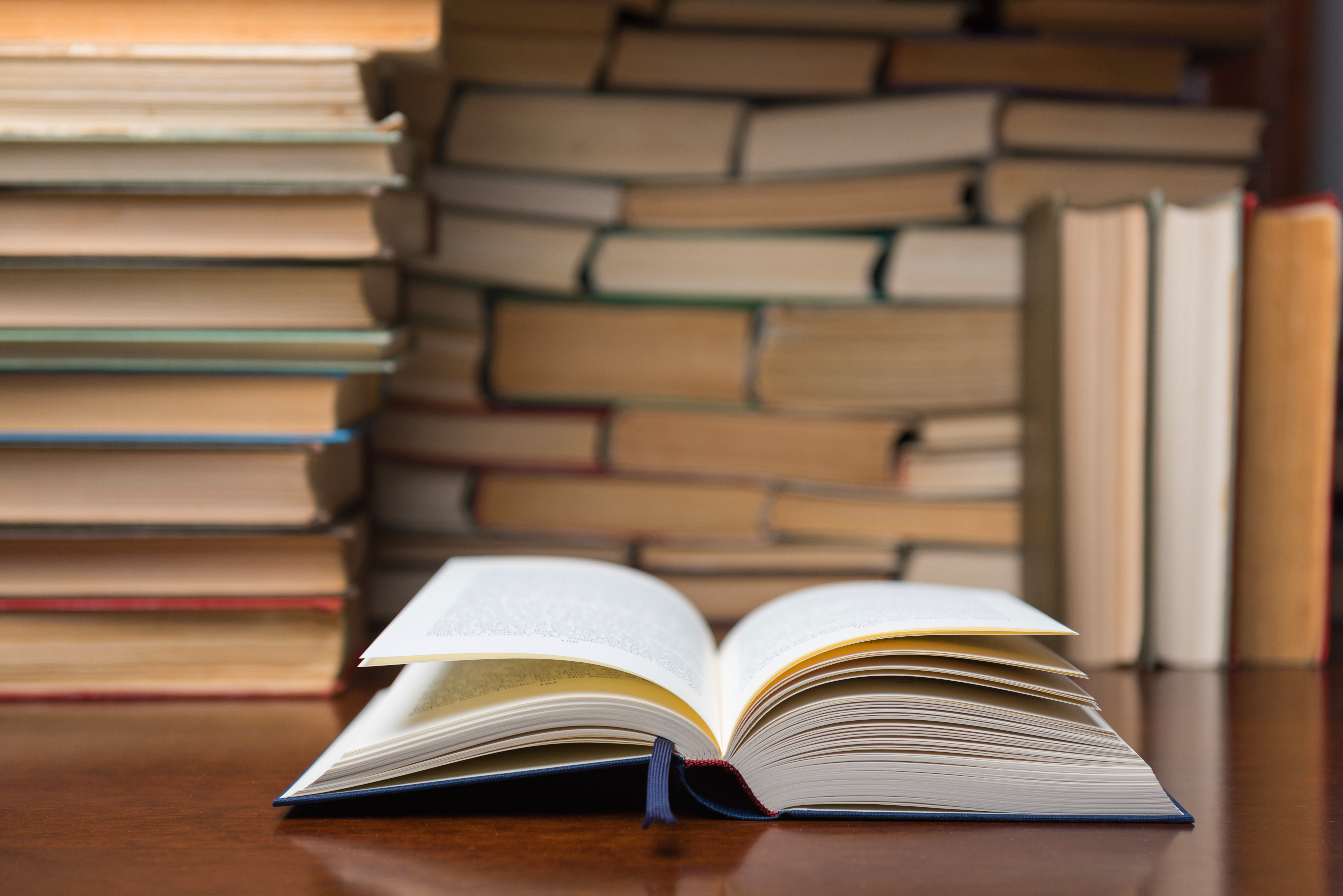 LITERATURE BEHIND COMPETITIVE MINDSET.